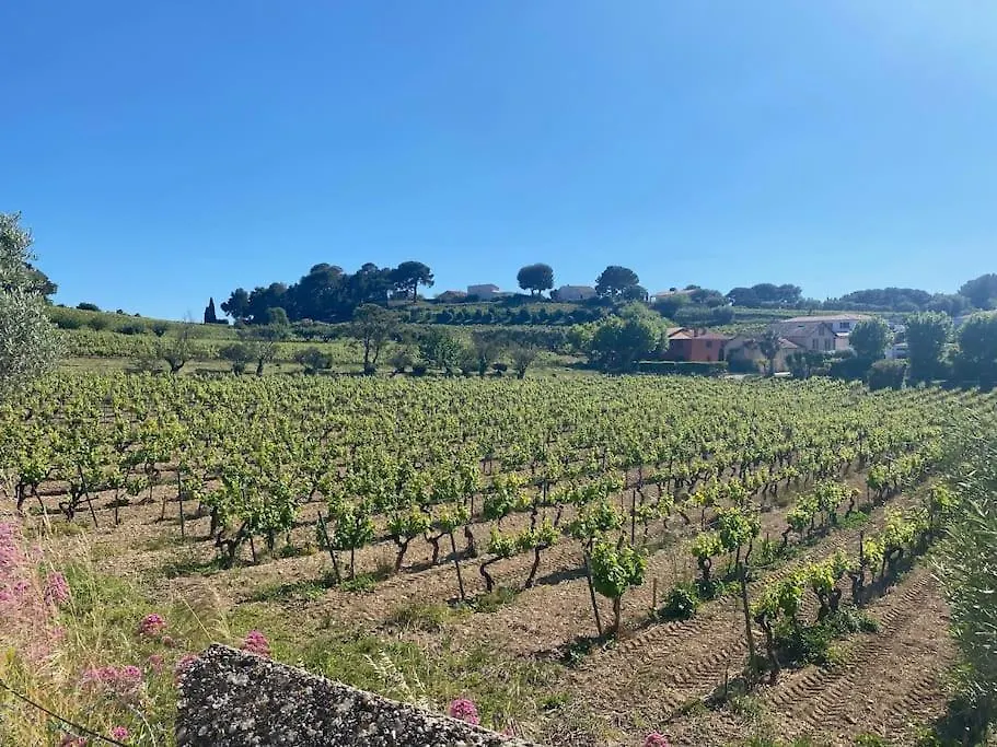 La Restanque Cassis Βίλα Γαλλία
